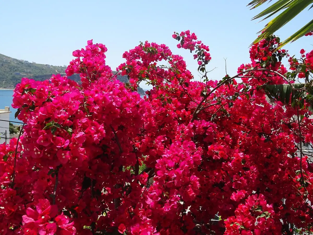 Appartamento Ionian View Himare